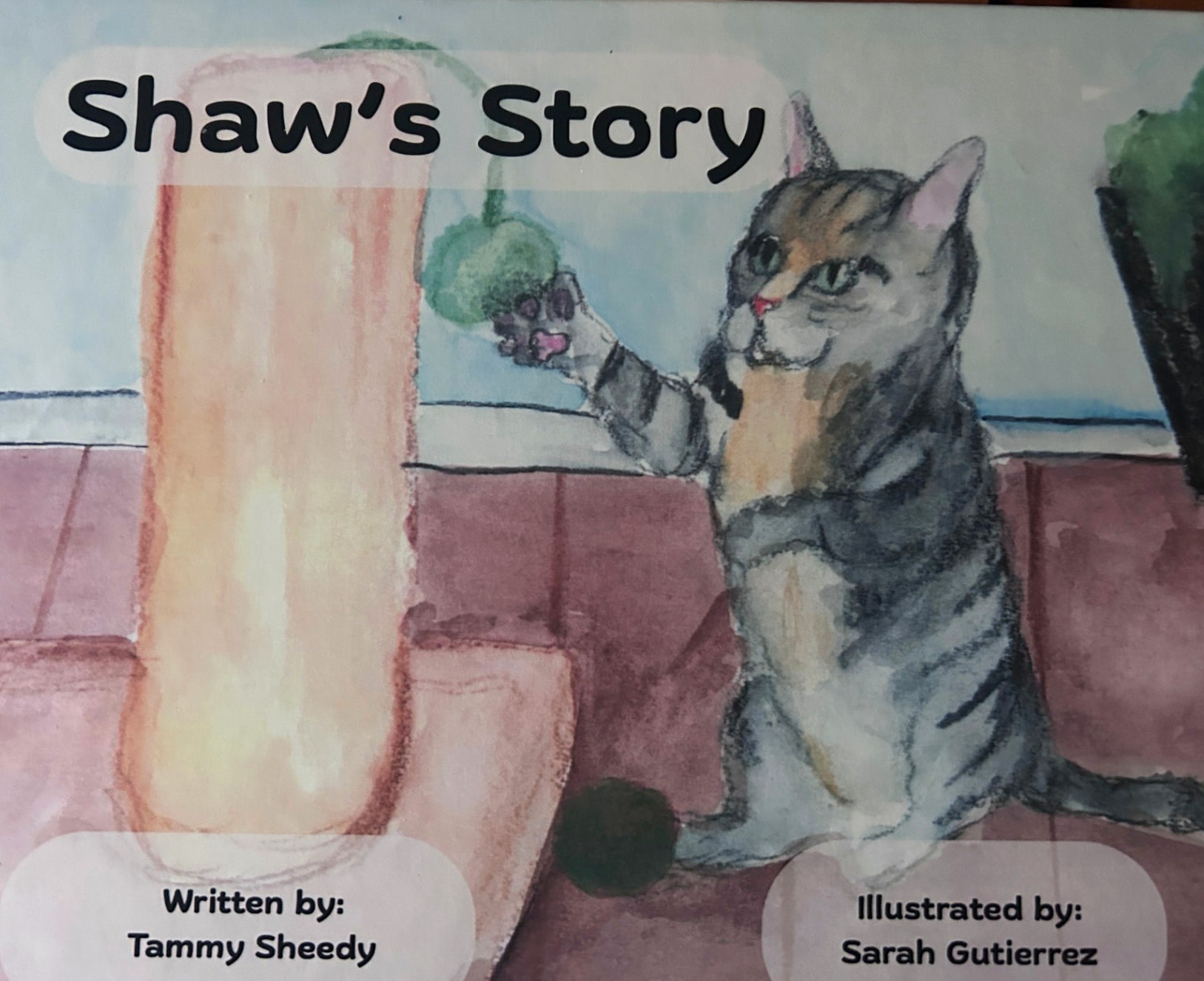 Cover of Shaw's Story by Tammy Sheedy